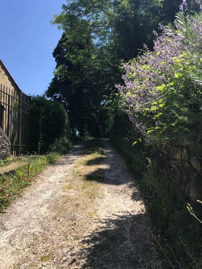 דירות ברברינו די מוג'לו Antica Dimora Di Laura מראה חיצוני תמונה