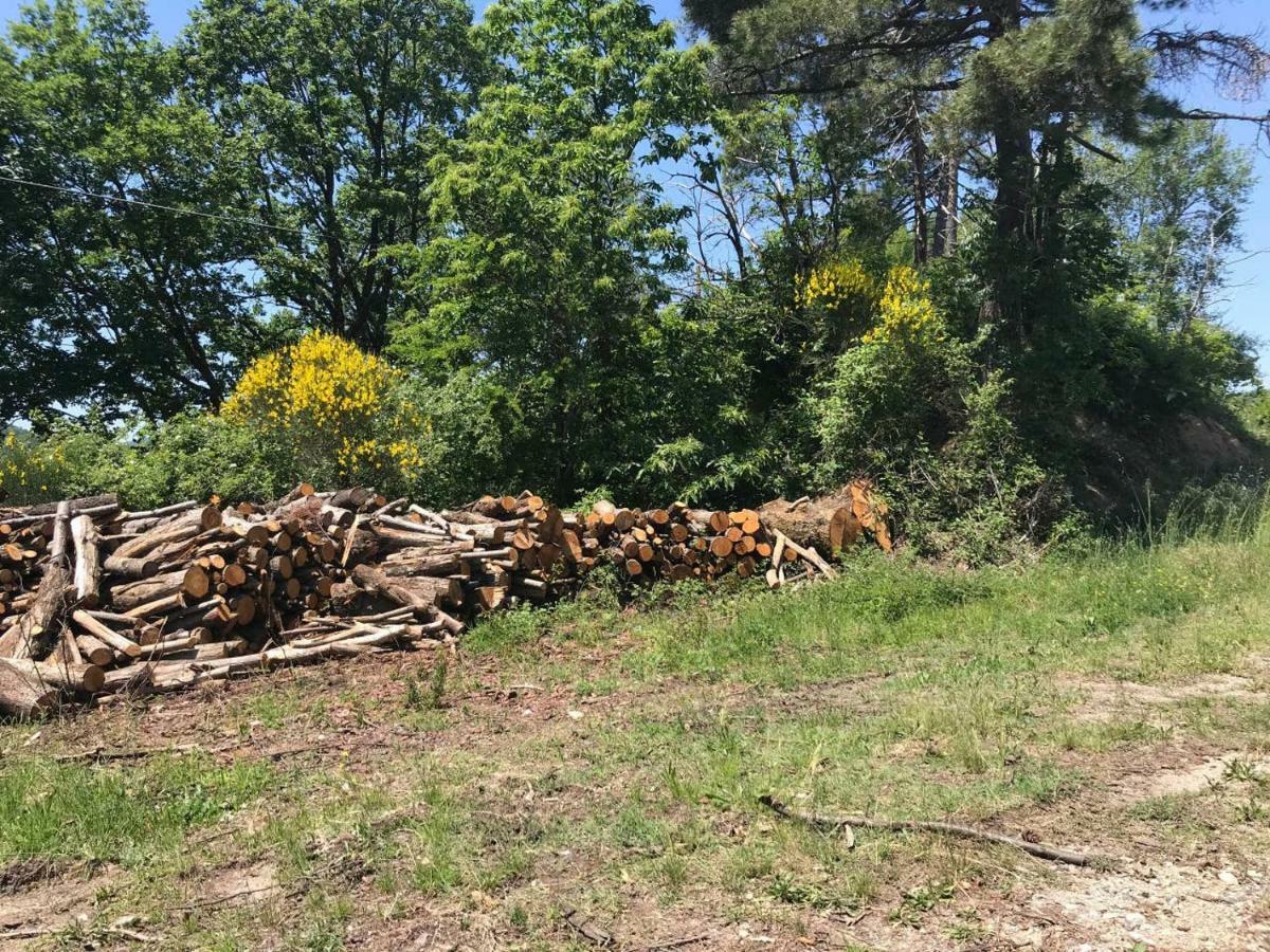 דירות ברברינו די מוג'לו Antica Dimora Di Laura מראה חיצוני תמונה