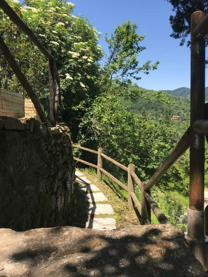 דירות ברברינו די מוג'לו Antica Dimora Di Laura מראה חיצוני תמונה