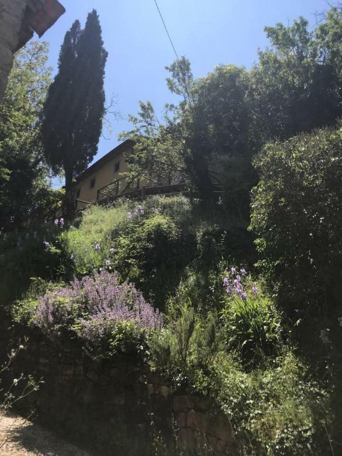 דירות ברברינו די מוג'לו Antica Dimora Di Laura מראה חיצוני תמונה